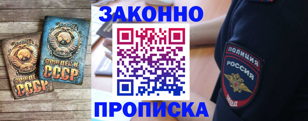 прописка законно в Курчалом